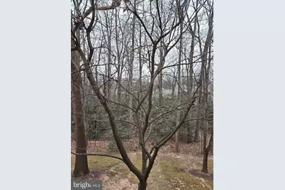 1537 Church Hill Place #1537, Reston, VA 20194 - Photo 25