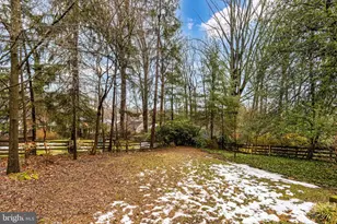 3825 Birchwood Rd, Falls Church, VA 22041 - Photo 39