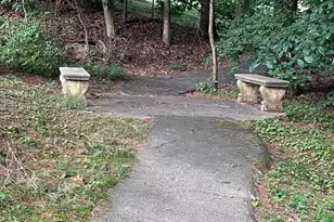 5904 Cove Landing Rd, Burke, VA 22015 - Photo 37