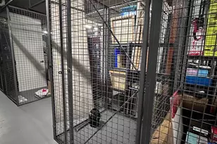 12025 New Dominion Pkwy, Reston, VA 20190 - Photo 39