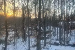 8679 Hickory Ridge Ct, Springfield, VA 22153 - Photo 21