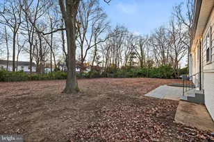 4405 Laurel Rd, Alexandria, VA 22309 - Photo 45