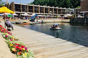 1501 Chatham Colony Ct, Reston, VA 20190 - Photo 29