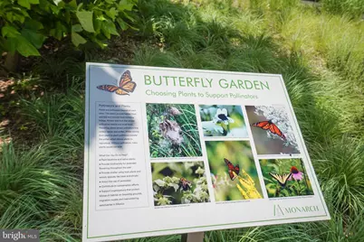 7887 Jones Branch Drive #404, McLean, VA 22102 - Photo 83