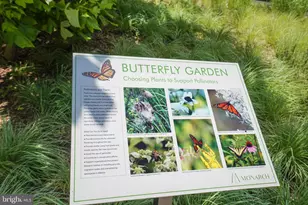 7887 Jones Branch Dr, McLean, VA 22102 - Photo 83