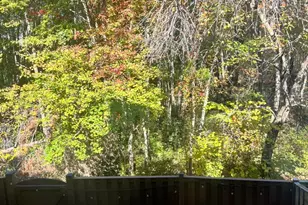 7317 Hampton Manor Pl, Springfield, VA 22150 - Photo 25