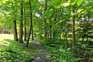 5833 Cove Landing Rd, Burke, VA 22015 - Photo 19