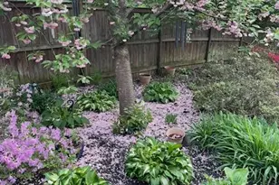 8106 Karl Rd, Alexandria, VA 22308 - Photo 55