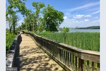 6609 Potomac Avenue #B1, Alexandria, VA 22307 - Photo 29