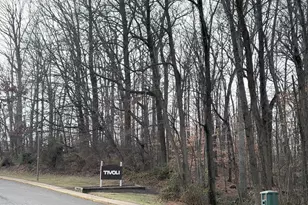 5823 Royal Ridge Dr, Springfield, VA 22152 - Photo 29