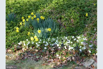 2205 Paul Spring Road, Alexandria, VA 22307 - Photo 89