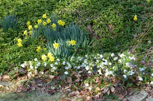 2205 Paul Spring Rd, Alexandria, VA 22307 - Photo 89