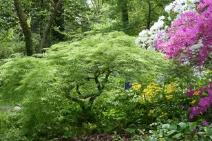 2205 Paul Spring Rd, Alexandria, VA 22307 - Photo 103