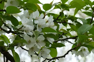 2205 Paul Spring Rd, Alexandria, VA 22307 - Photo 95