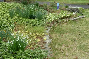 2205 Paul Spring Rd, Alexandria, VA 22307 - Photo 93