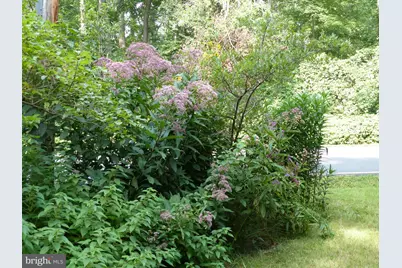 2205 Paul Spring Road, Alexandria, VA 22307 - Photo 107