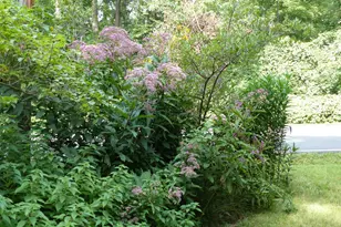 2205 Paul Spring Rd, Alexandria, VA 22307 - Photo 107