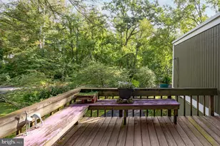 2205 Paul Spring Rd, Alexandria, VA 22307 - Photo 71