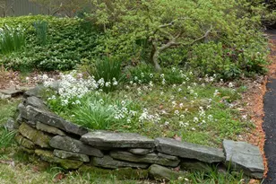 2205 Paul Spring Rd, Alexandria, VA 22307 - Photo 91