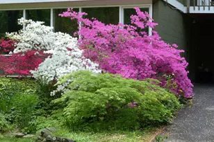 2205 Paul Spring Rd, Alexandria, VA 22307 - Photo 99