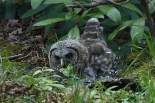 2205 Paul Spring Rd, Alexandria, VA 22307 - Photo 115