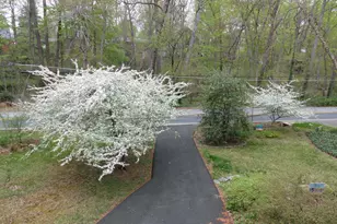 2205 Paul Spring Rd, Alexandria, VA 22307 - Photo 97