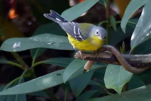 2205 Paul Spring Rd, Alexandria, VA 22307 - Photo 117