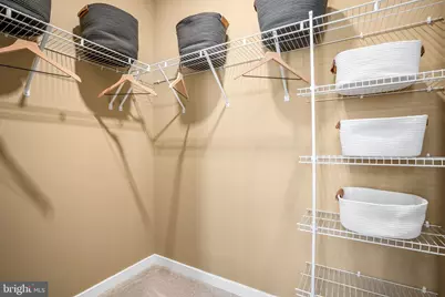 6247 Folly Lane, Alexandria, VA 22315 - Photo 49