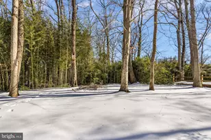 7105 Devonshire Rd, Alexandria, VA 22307 - Photo 49