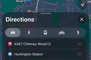 6347 Chimney Wood Ct, Alexandria, VA 22306 - Photo 19