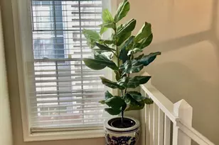 10087 Oakton Terrace Rd, Oakton, VA 22124 - Photo 5