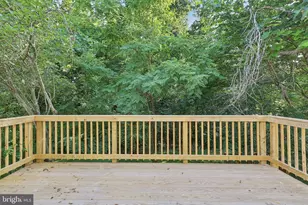 6246 Hillside Rd, Springfield, VA 22152 - Photo 31