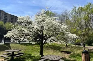 8380 Greensboro Dr, McLean, VA 22102 - Photo 31