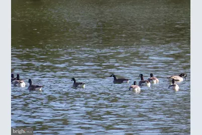 1708 Lake Shore Crest Drive #14, Reston, VA 20190 - Photo 3