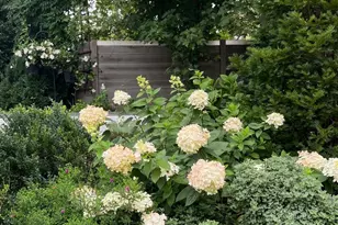 3022 Fox Mill Rd, Oakton, VA 22124 - Photo 79