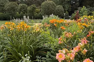 3022 Fox Mill Rd, Oakton, VA 22124 - Photo 89