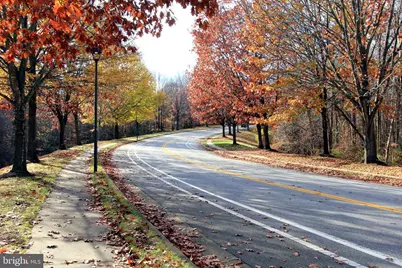 8431 Ambrose Court, Springfield, VA 22153 - Photo 9