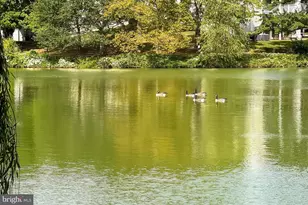 2938 Bridgehampton Ct, Falls Church, VA 22042 - Photo 63