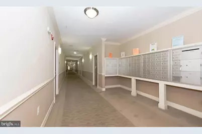3840 Lightfoot Street #345, Chantilly, VA 20151 - Photo 5
