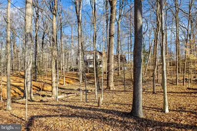 9982 Blackberry Lane, Great Falls, VA 22066 - Photo 41