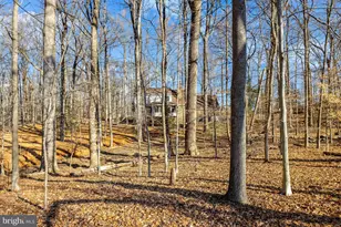 9982 Blackberry Ln, Great Falls, VA 22066 - Photo 41