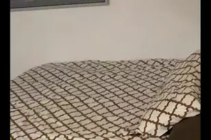 1940 Burfoot St, Falls Church, VA 22043 - Photo 5