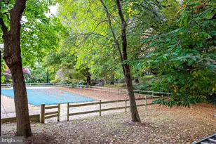 5612 Bloomfield Dr, Alexandria, VA 22312 - Photo 29