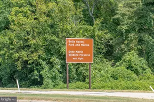 7518 Snowpea Ct, Alexandria, VA 22306 - Photo 67