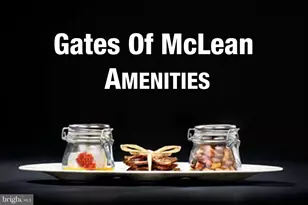 1591 Spring Gate Dr., McLean, VA 22102 - Photo 23