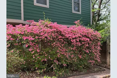 521 Creek Crossing Road NE, Vienna, VA 22180 - Photo 61