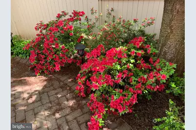 6739 Darrells Grant Place, Falls Church, VA 22043 - Photo 67