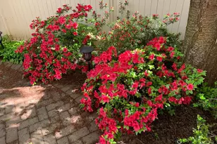 6739 Darrells Grant Pl, Falls Church, VA 22043 - Photo 67