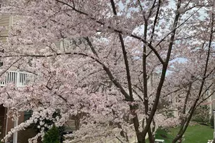 6739 Darrells Grant Pl, Falls Church, VA 22043 - Photo 17