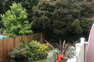 8113 Wellington Rd, Alexandria, VA 22308 - Photo 19